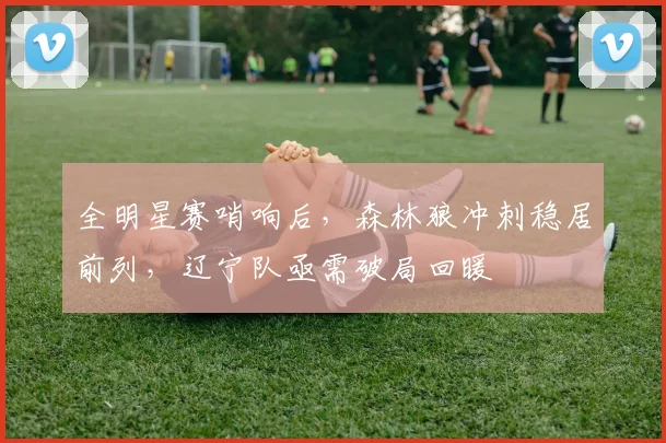 全明星赛哨响后，森林狼冲刺稳居前列，辽宁队亟需破局回暖 - 万彩官网官网资讯